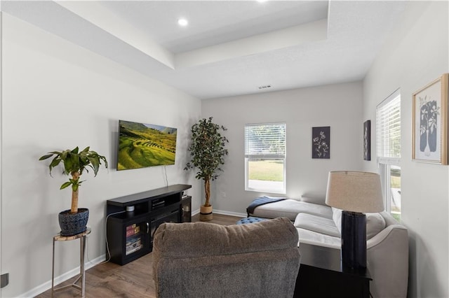 living room featuring wood-type flooring and a tray ceiling