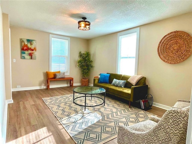 living room featuring hardwood / wood-style floors and a textured ceiling