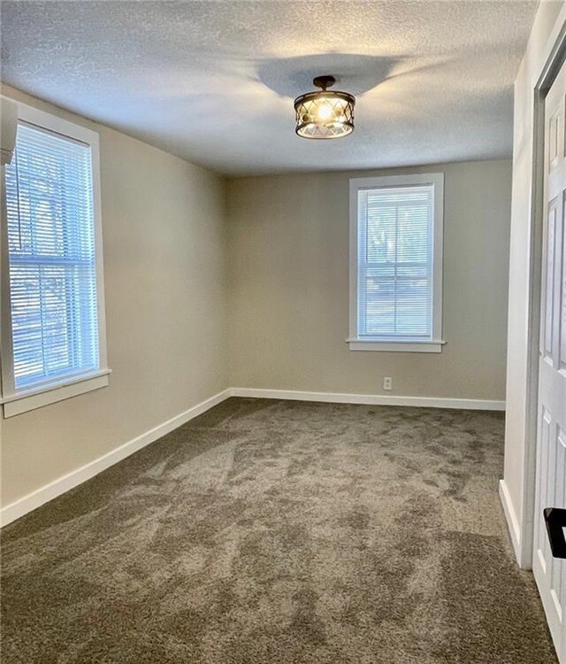 empty room featuring carpet floors, a textured ceiling, and a healthy amount of sunlight