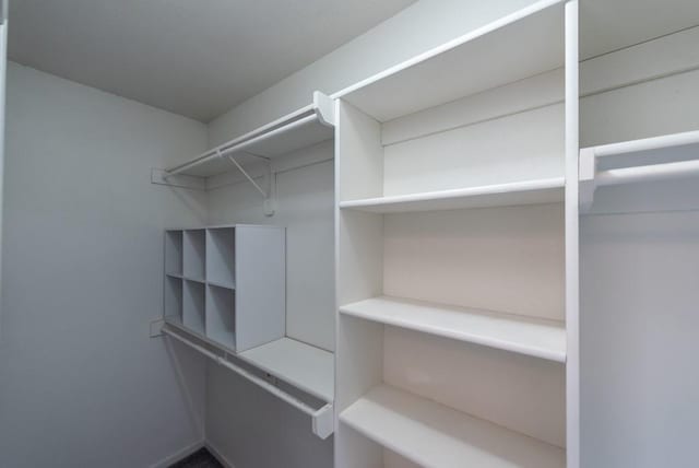 view of walk in closet