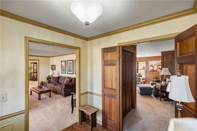 401 Taylor Rd, Independence, KS 67301 - hallway with carpet floors, crown molding, and a textured ceiling