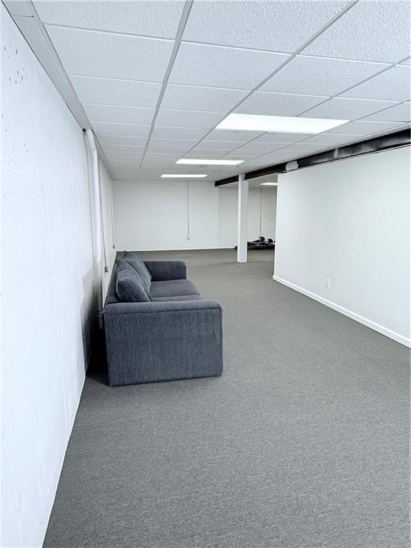 carpeted living area featuring a paneled ceiling