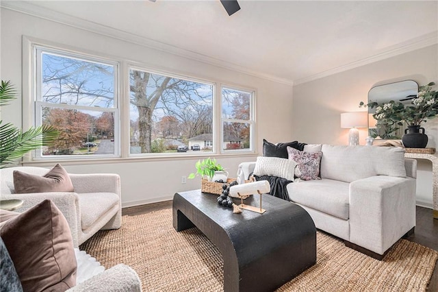 living room with light hardwood / wood-style floors and crown molding