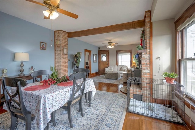 dining space featuring ceiling fan and light hardwood / wood-style flooring