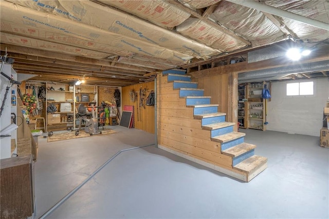 basement with wooden walls