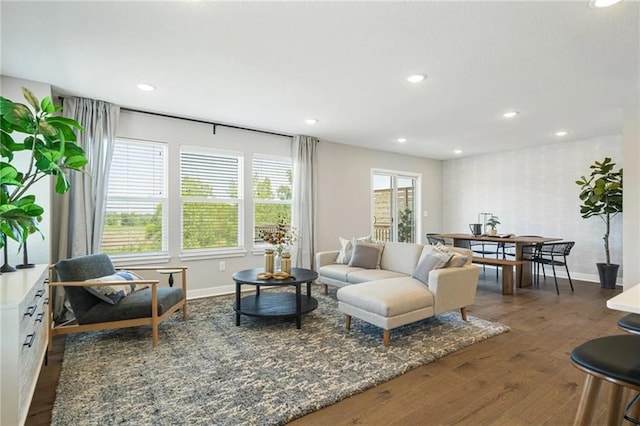 living room with dark hardwood / wood-style flooring