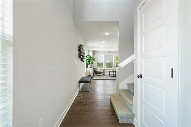 corridor with dark hardwood / wood-style flooring