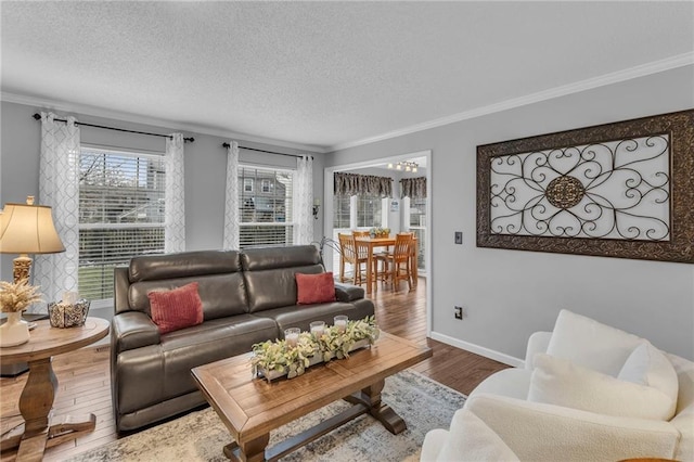 living room featuring hardwood / wood-style flooring, crown molding, and a textured ceiling