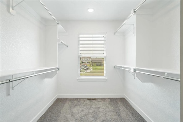 walk in closet featuring carpet