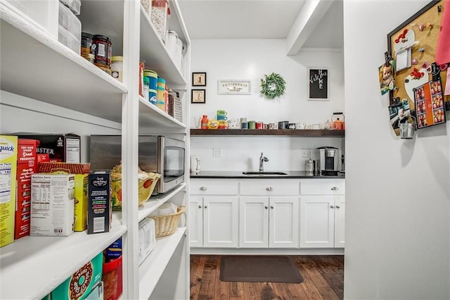 pantry featuring sink