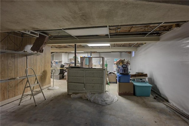 basement with wooden walls