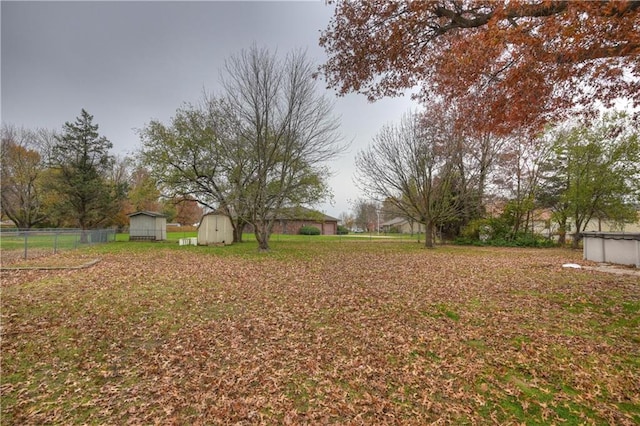 view of yard featuring a storage unit