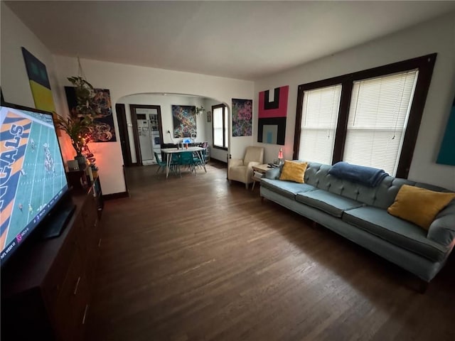 living room with dark hardwood / wood-style floors and a wealth of natural light