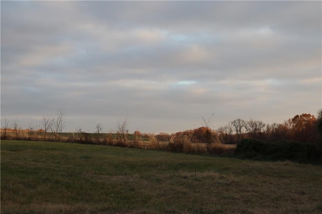 view of local wilderness featuring a rural view