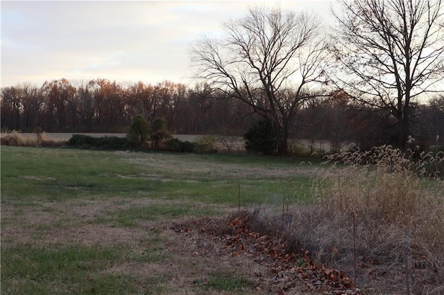 view of yard featuring a rural view