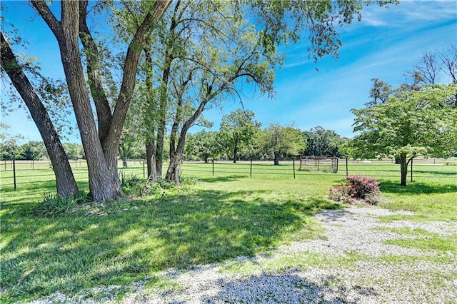 view of yard featuring a rural view