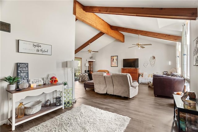 living room featuring lofted ceiling with beams, a healthy amount of sunlight, dark hardwood / wood-style floors, and ceiling fan