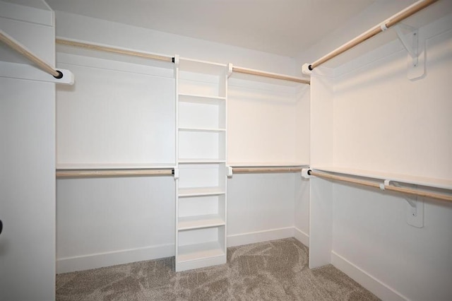 walk in closet with carpet floors