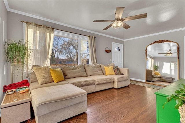 living room featuring ornamental molding, dark wood-type flooring, ceiling fan, and a healthy amount of sunlight