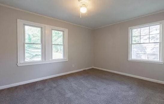 carpeted empty room with plenty of natural light and crown molding