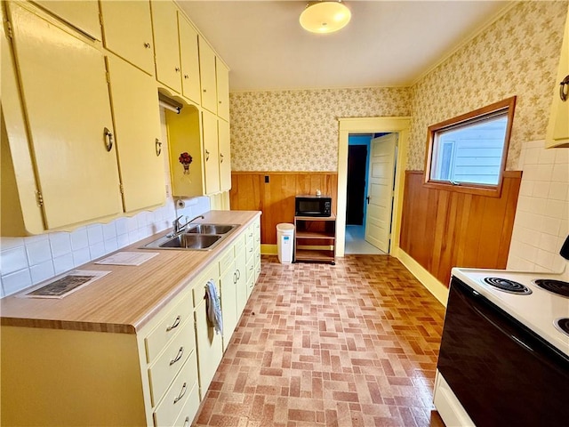 kitchen featuring white electric range, sink, and wood walls