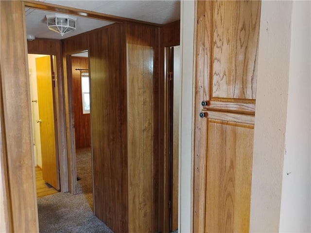 corridor featuring wood walls and carpet