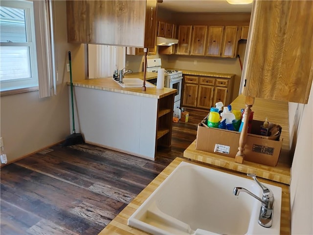 kitchen featuring kitchen peninsula, sink, dark wood-type flooring, and white gas range oven