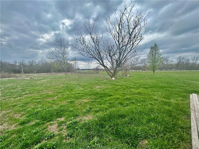 view of yard with a rural view