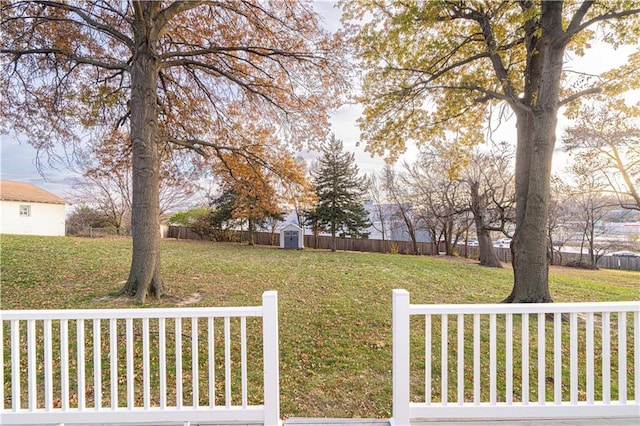 view of yard with a storage shed