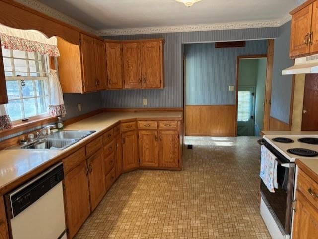 kitchen with plenty of natural light, sink, and white appliances