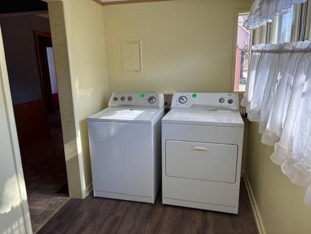 laundry area featuring washer and dryer and dark hardwood / wood-style floors