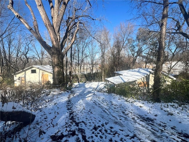 view of yard covered in snow