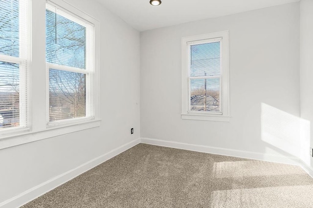 empty room featuring carpet floors and a wealth of natural light