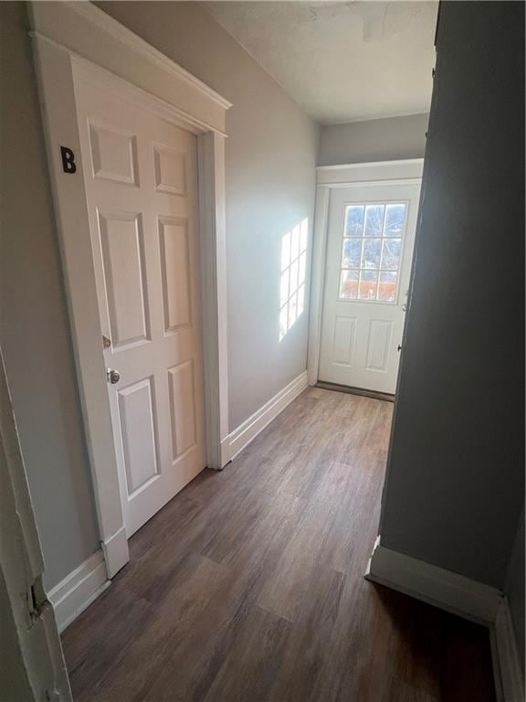 entryway with dark wood-type flooring