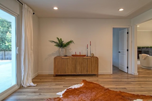 bar featuring light hardwood / wood-style floors