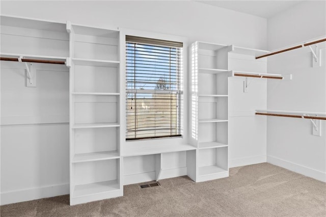 walk in closet with light colored carpet