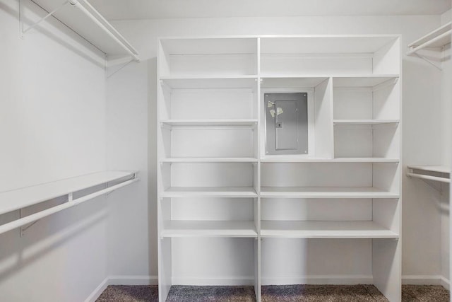 spacious closet with electric panel