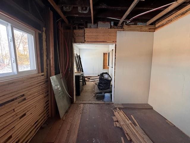 basement with wood-type flooring