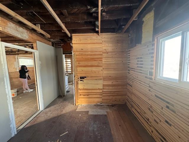 basement with hardwood / wood-style floors and wood walls