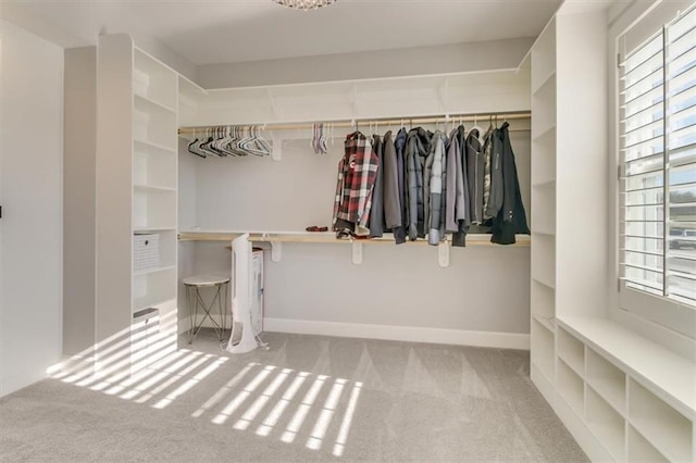 spacious closet featuring light colored carpet