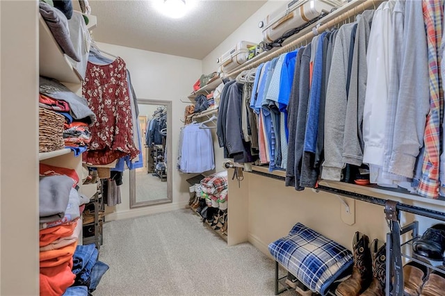 walk in closet with carpet