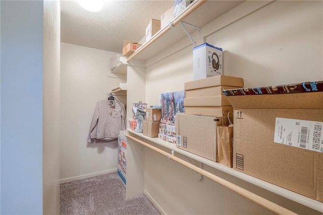 spacious closet with carpet