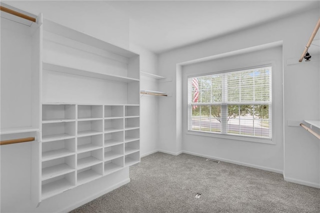 walk in closet featuring carpet flooring