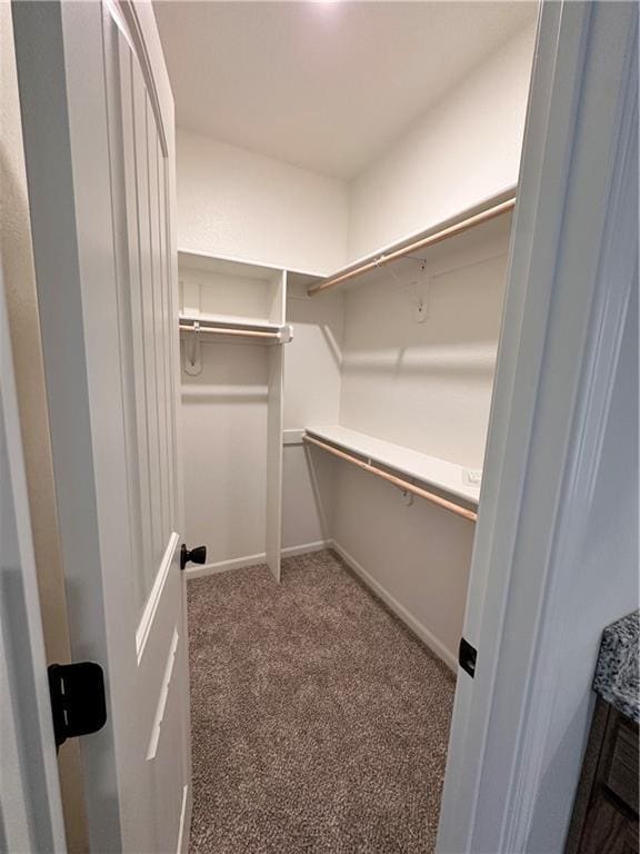 walk in closet with dark colored carpet