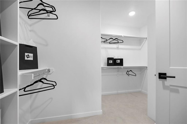 1516 NW 106th St, Kansas City, MO 64155 - walk in closet with light carpet