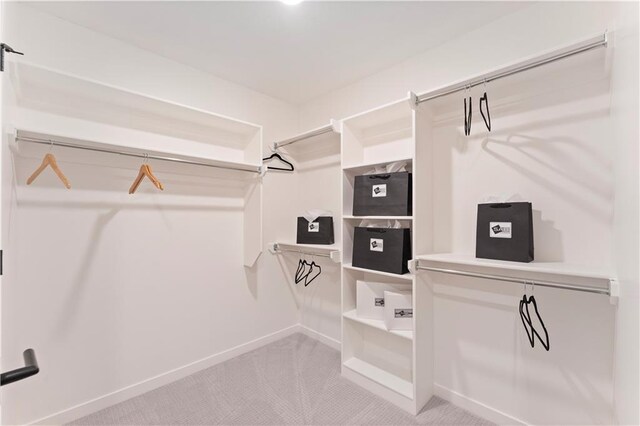 1516 NW 106th St, Kansas City, MO 64155 - walk in closet with light colored carpet