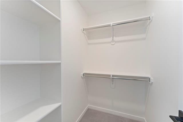 1516 NW 106th St, Kansas City, MO 64155 - view of walk in closet