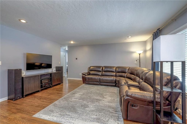 living room with wood-type flooring and a textured ceiling