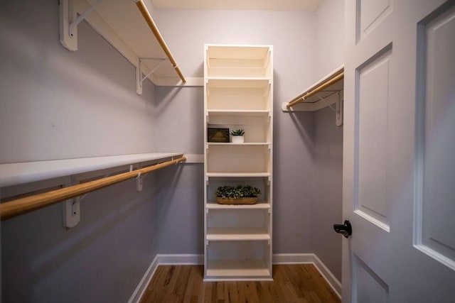 walk in closet featuring dark hardwood / wood-style flooring