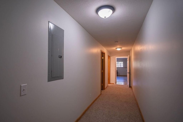 hallway with electric panel and carpet